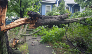Is Storm Damage Covered by Insurance?