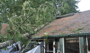 What Kind of Damage Can a Storm Cause to a House?