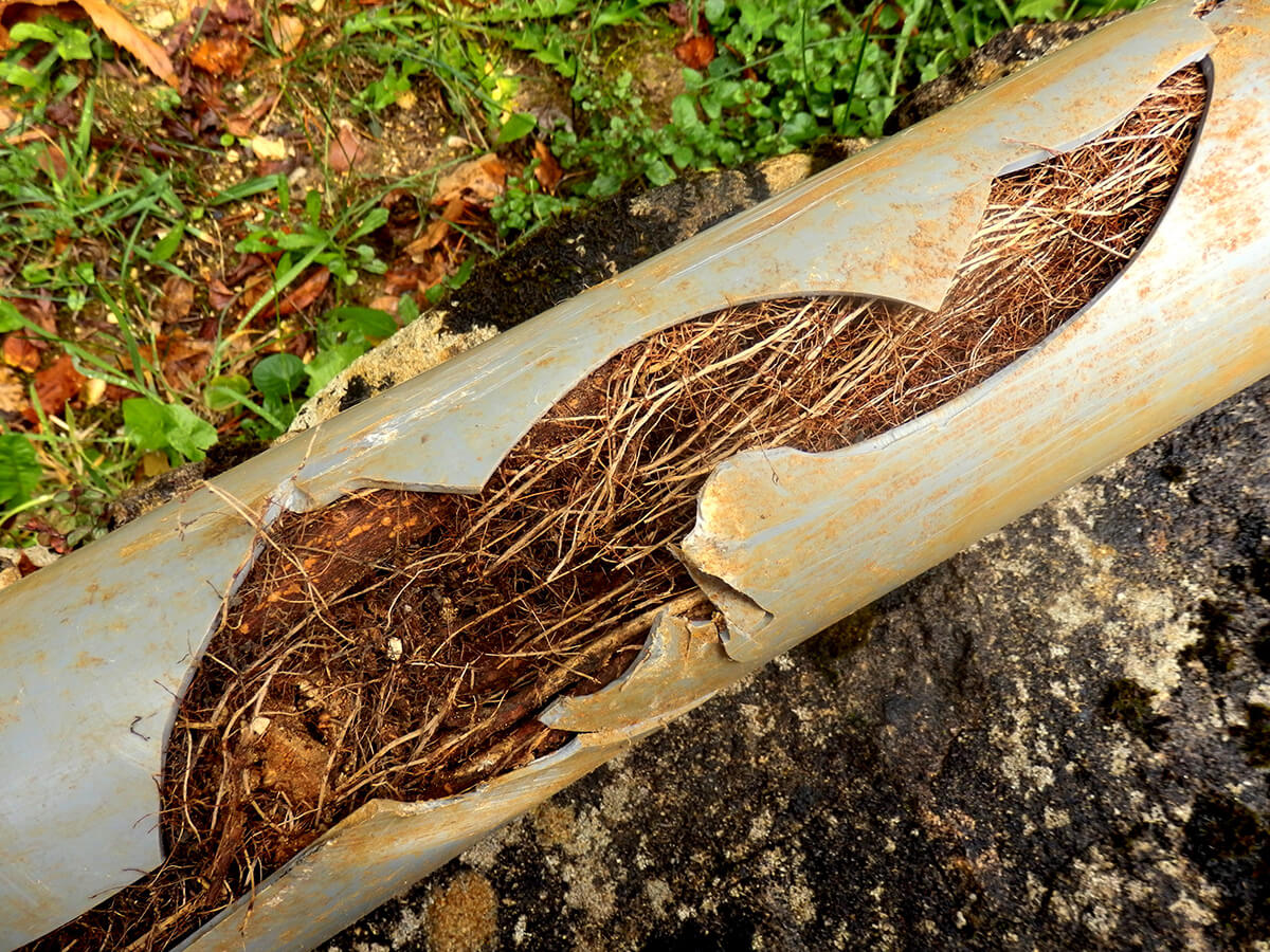 Utah Home Sewage Leak Damage Assessment and Cleanup