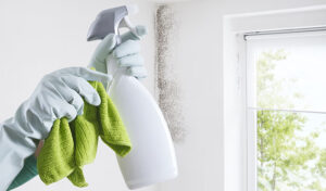 Everything You Need to Know About Mold Remediation