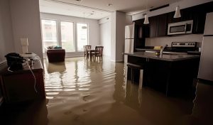 4 Reasons Why It's Worth It to Hire a Restoration Company for Disaster Clean Up