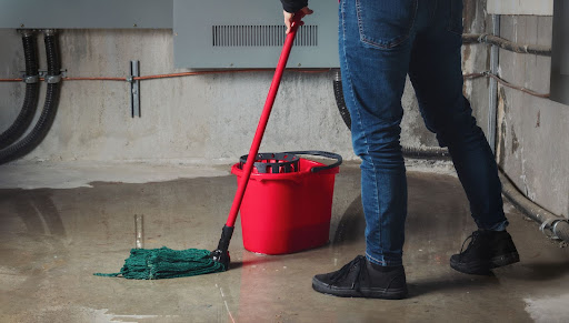 Hiring Professionals vs DIY Cleanup