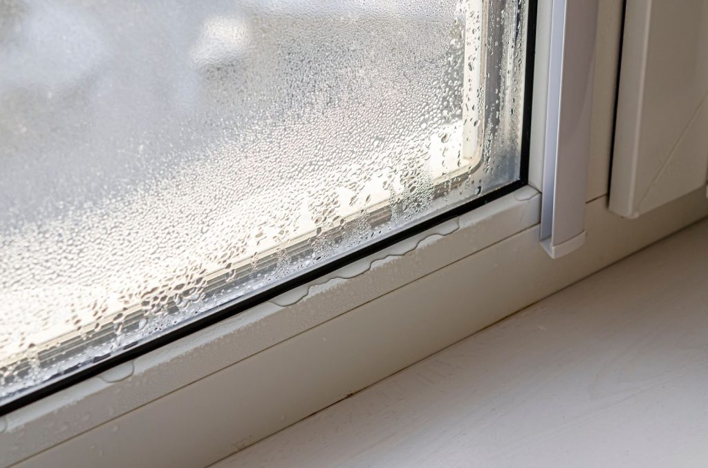 Mold removal strategies for winter