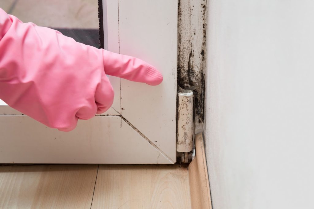 A person in pink gloves inspects a moldy door, highlighting the importance of mold remediation and cleanup in Utah.