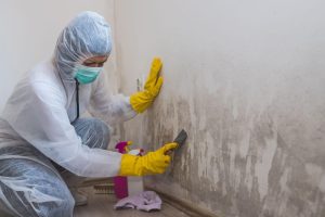 A woman in a white coat and gloves cleans a wall, showing her commitment to cleanliness.