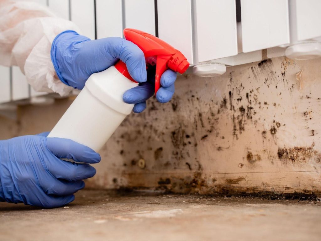 An individual in blue gloves applies a white spray to a wall for maintenance