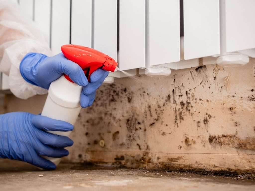 A person in blue gloves sprays a white substance on a wall for mold removal and remediation during disaster cleanup.